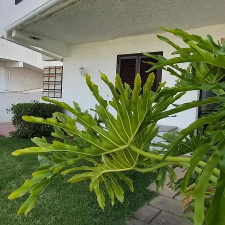 Casa Dos Sorrisos - 3 Bedroom Apartment, Terrace, Barbecue, Ac, Wifi,