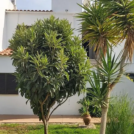 Casa Dos Sorrisos - 3 Bedroom Apartment, Terrace, Barbecue, Ac, Wifi, Daire *