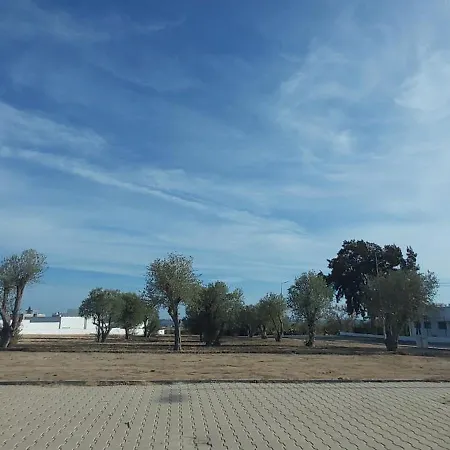 Daire Casa Dos Sorrisos - 3 Bedroom Apartment, Terrace, Barbecue, Ac, Wifi,